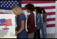 system justification