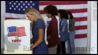 system justification